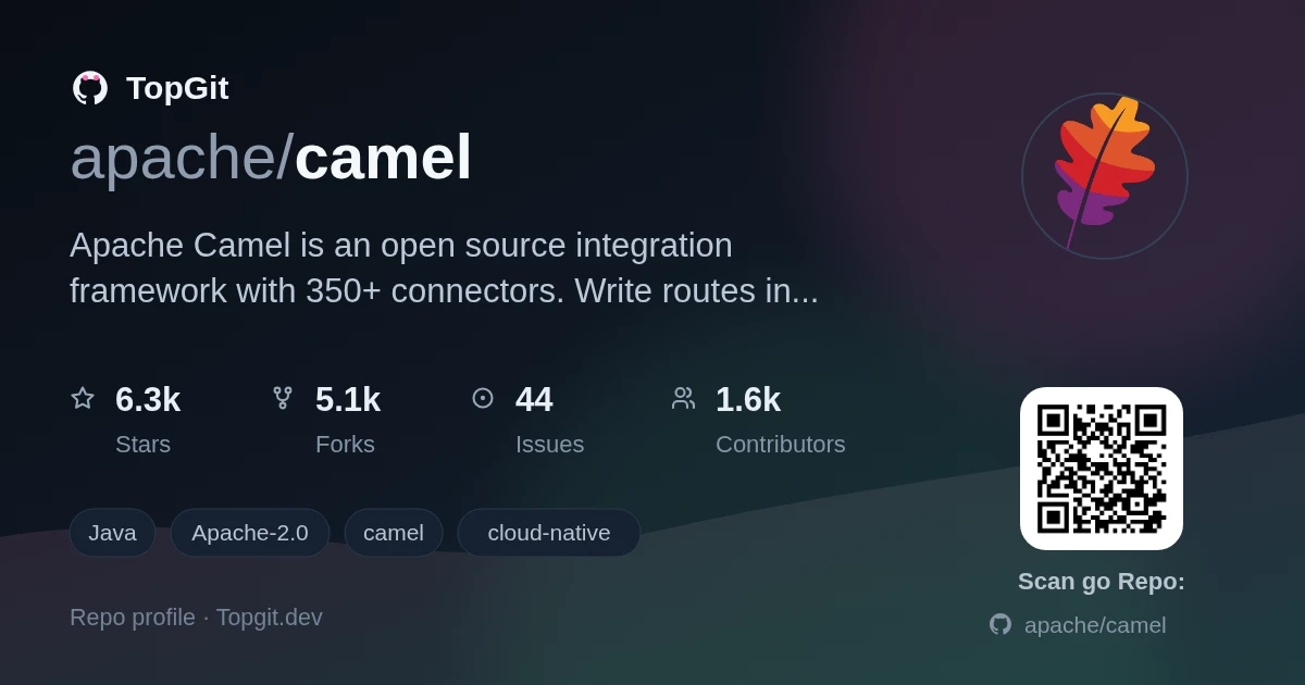 TopGit repo profile image for apache/camel