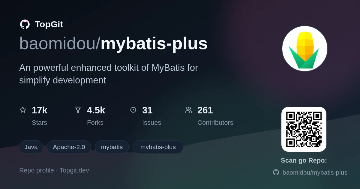 TopGit repo profile image for baomidou/mybatis-plus