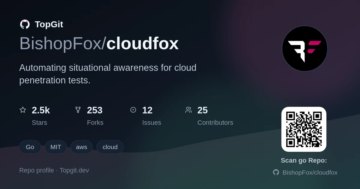 TopGit repo profile image for BishopFox/cloudfox
