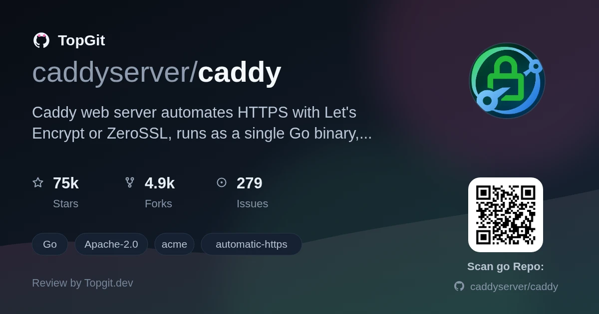 TopGit review image for caddyserver/caddy