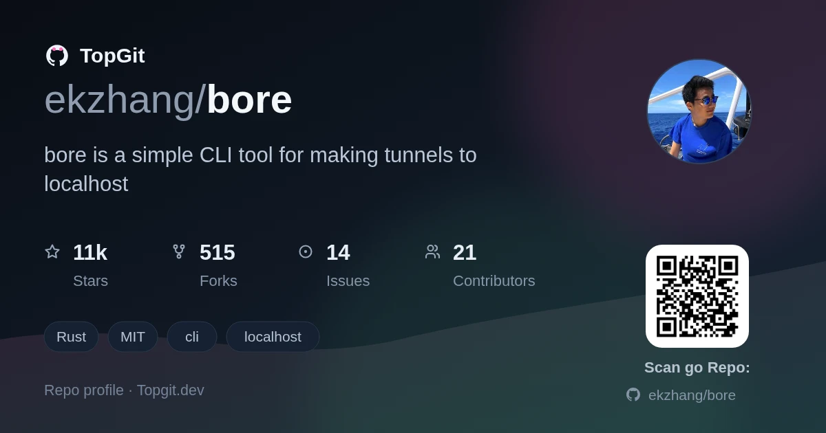 TopGit repo profile image for ekzhang/bore