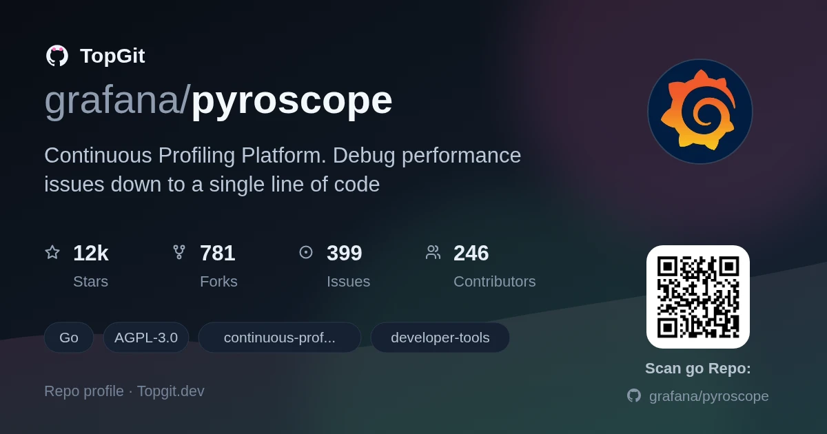 TopGit repo profile image for grafana/pyroscope