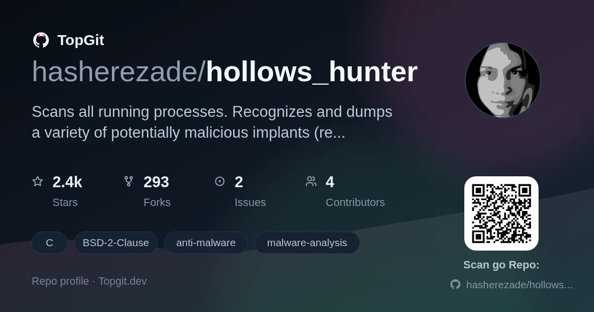 TopGit repo profile image for hasherezade/hollows_hunter