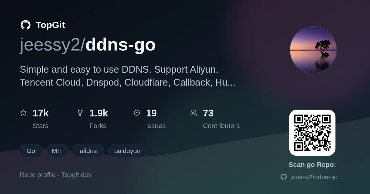 TopGit repo profile image for jeessy2/ddns-go