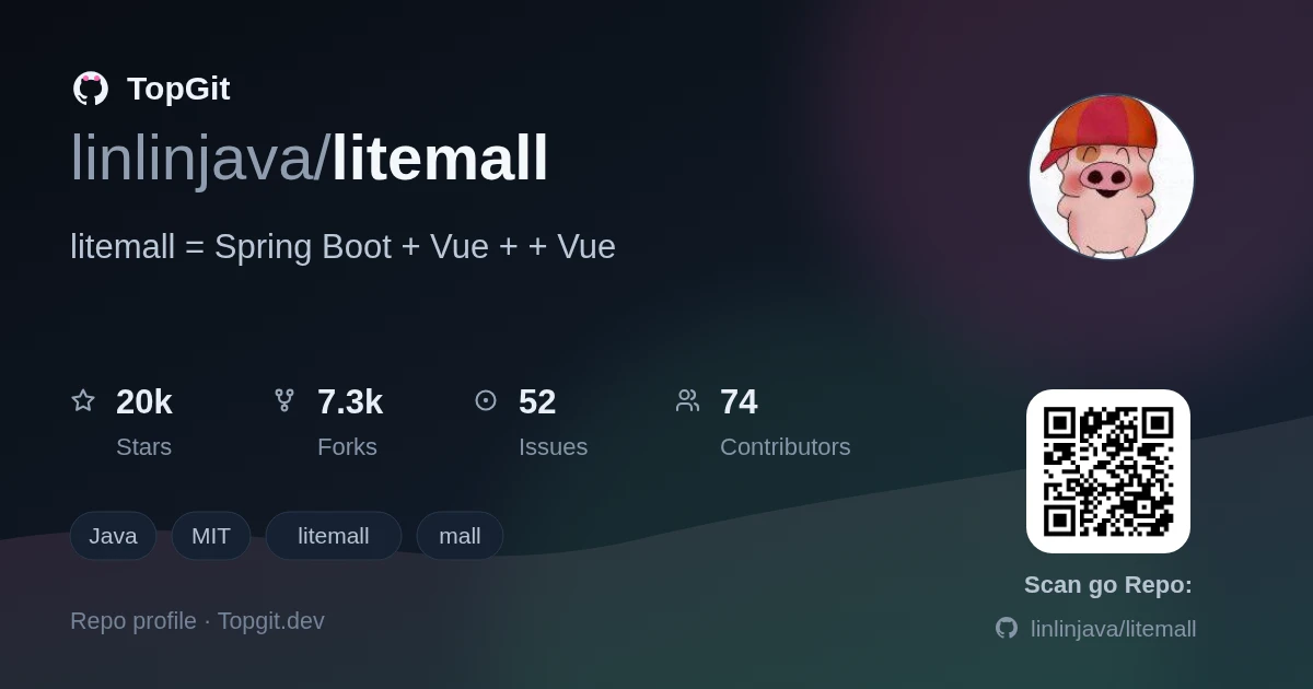 TopGit repo profile image for linlinjava/litemall