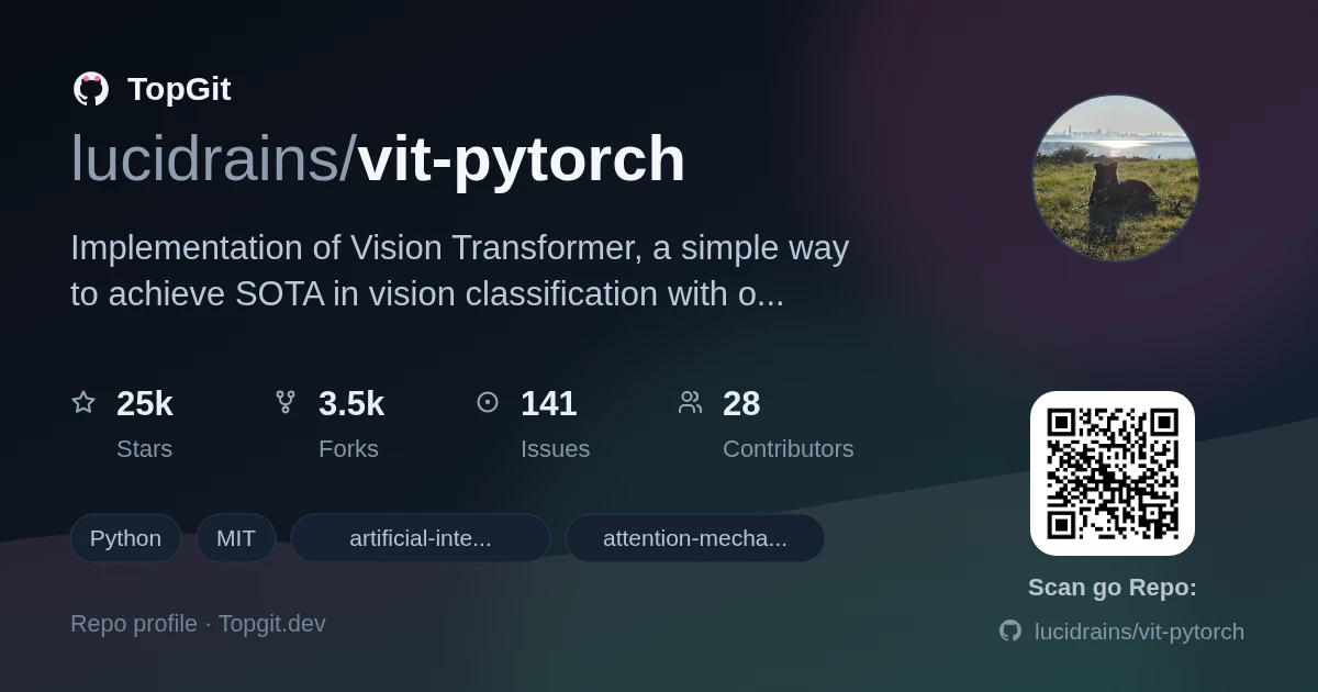 TopGit repo profile image for lucidrains/vit-pytorch