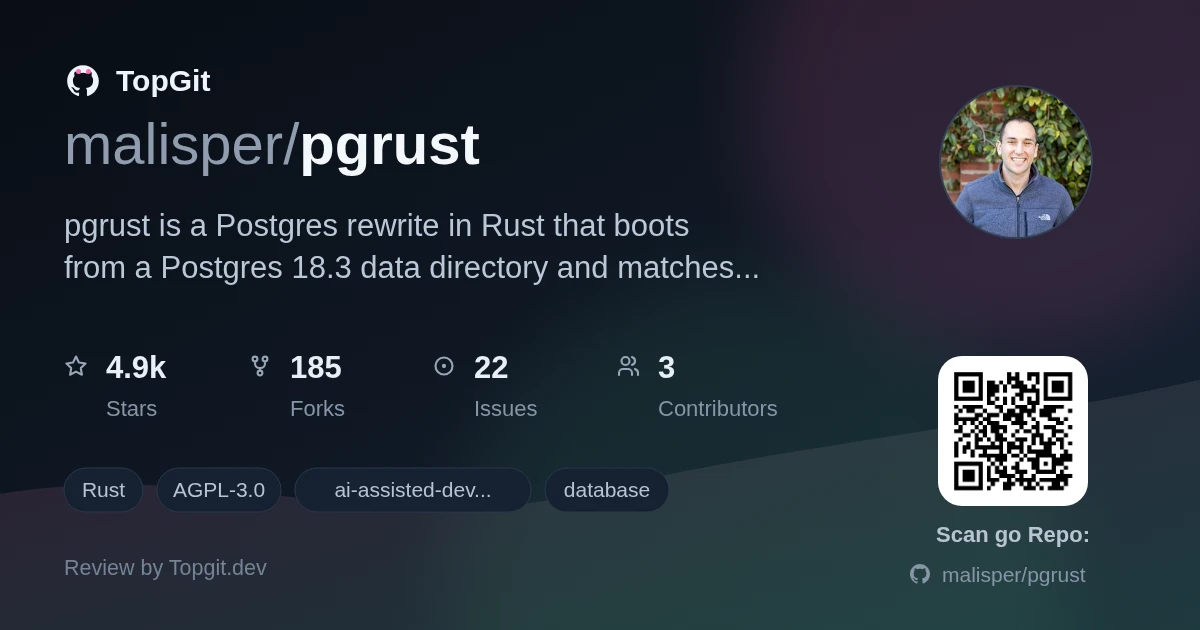 TopGit review image for malisper/pgrust