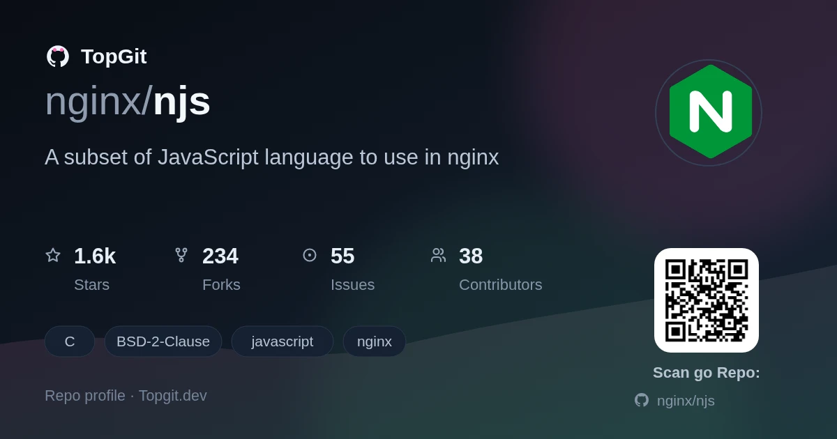 TopGit repo profile image for nginx/njs