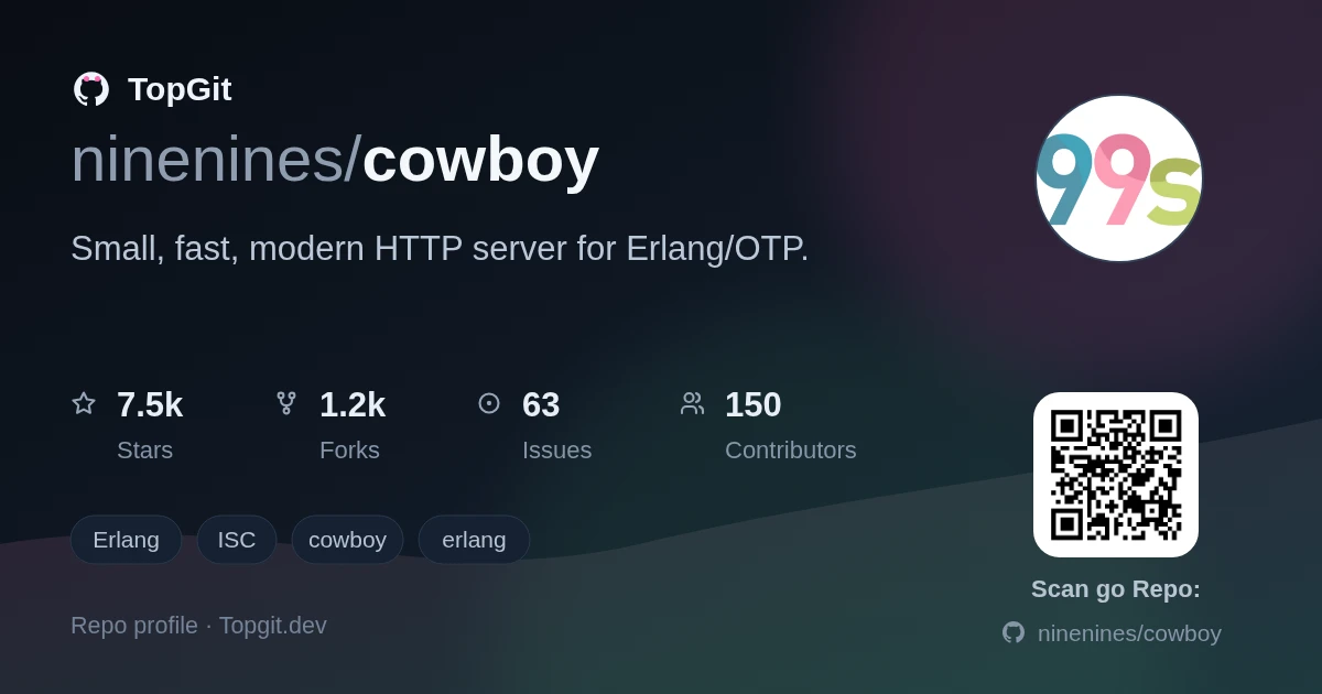 TopGit repo profile image for ninenines/cowboy