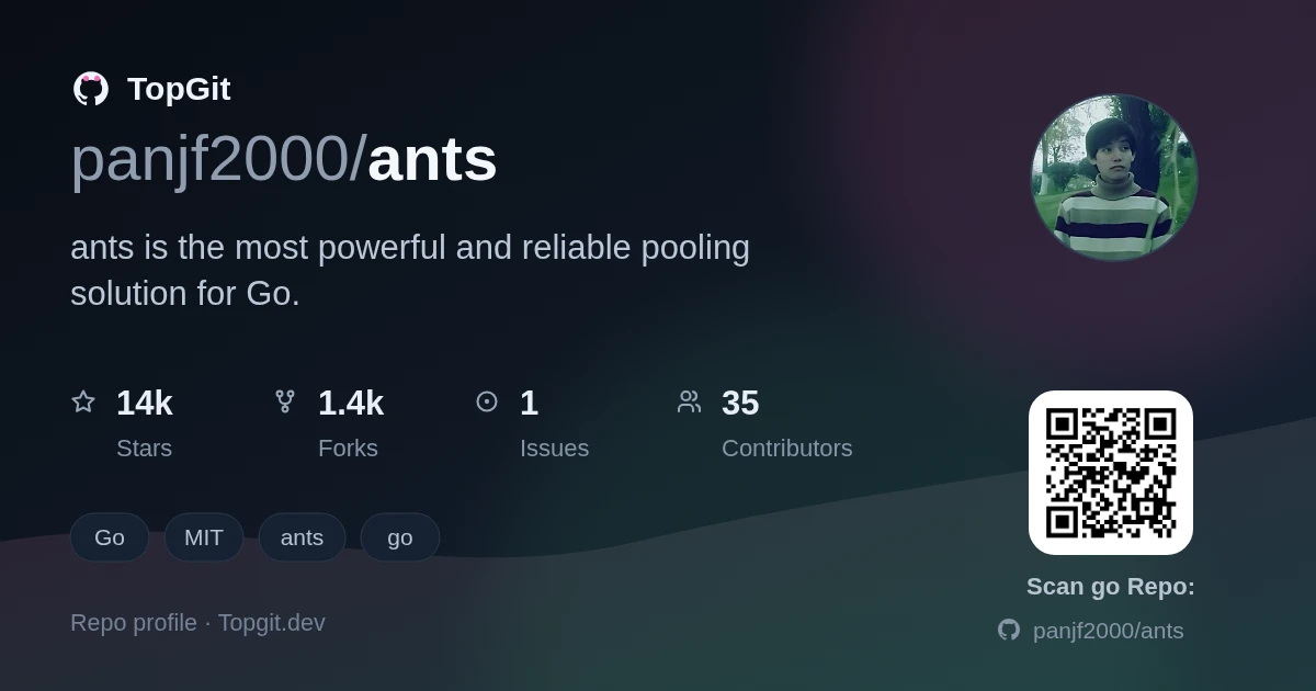 TopGit repo profile image for panjf2000/ants