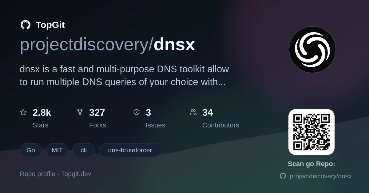 TopGit repo profile image for projectdiscovery/dnsx