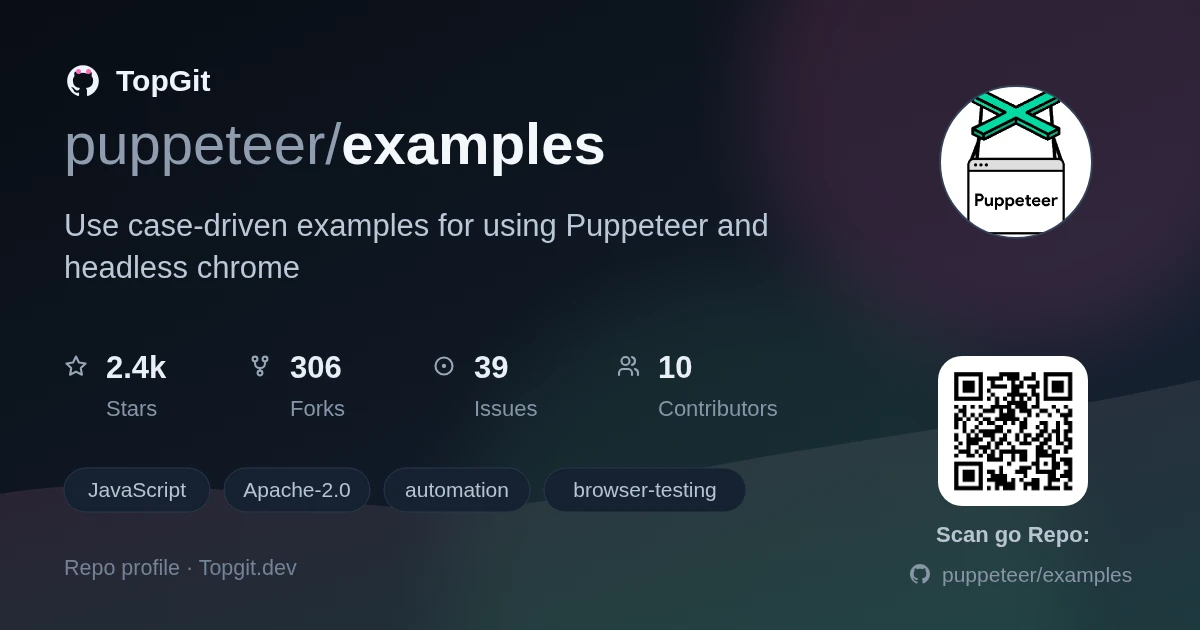 TopGit repo profile image for puppeteer/examples