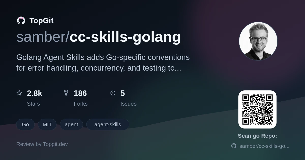TopGit review image for samber/cc-skills-golang