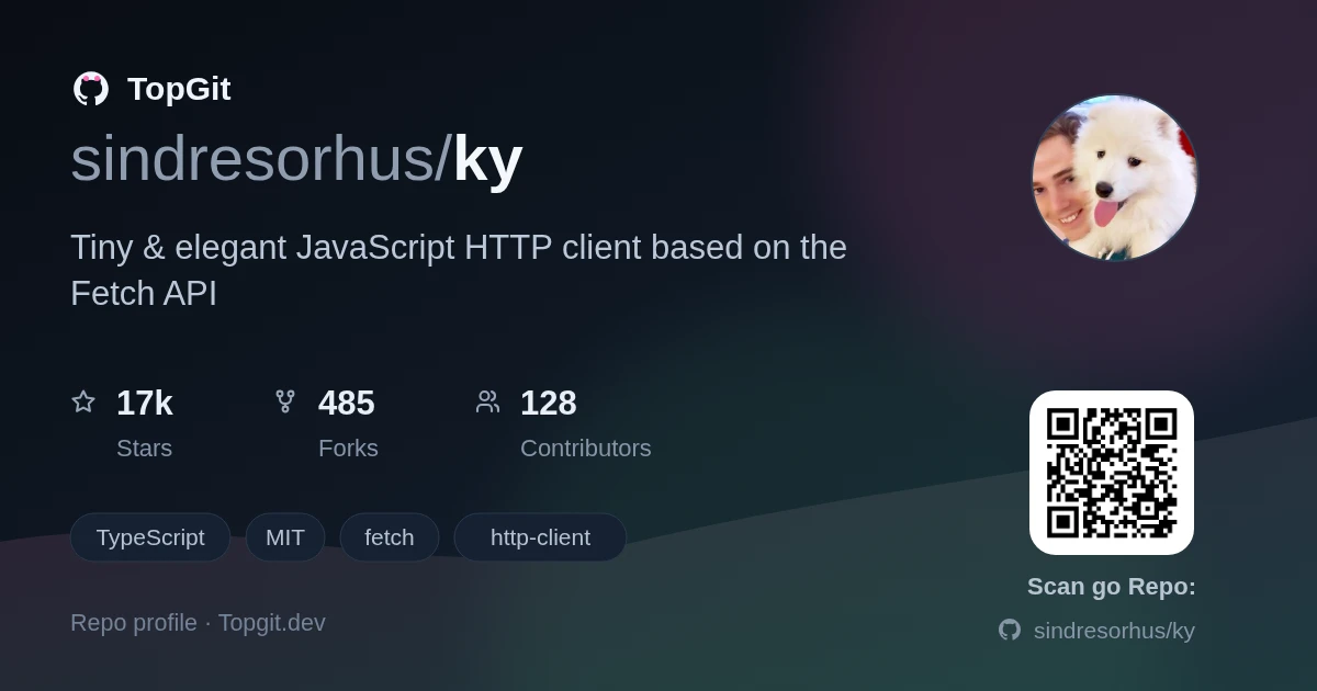TopGit repo profile image for sindresorhus/ky