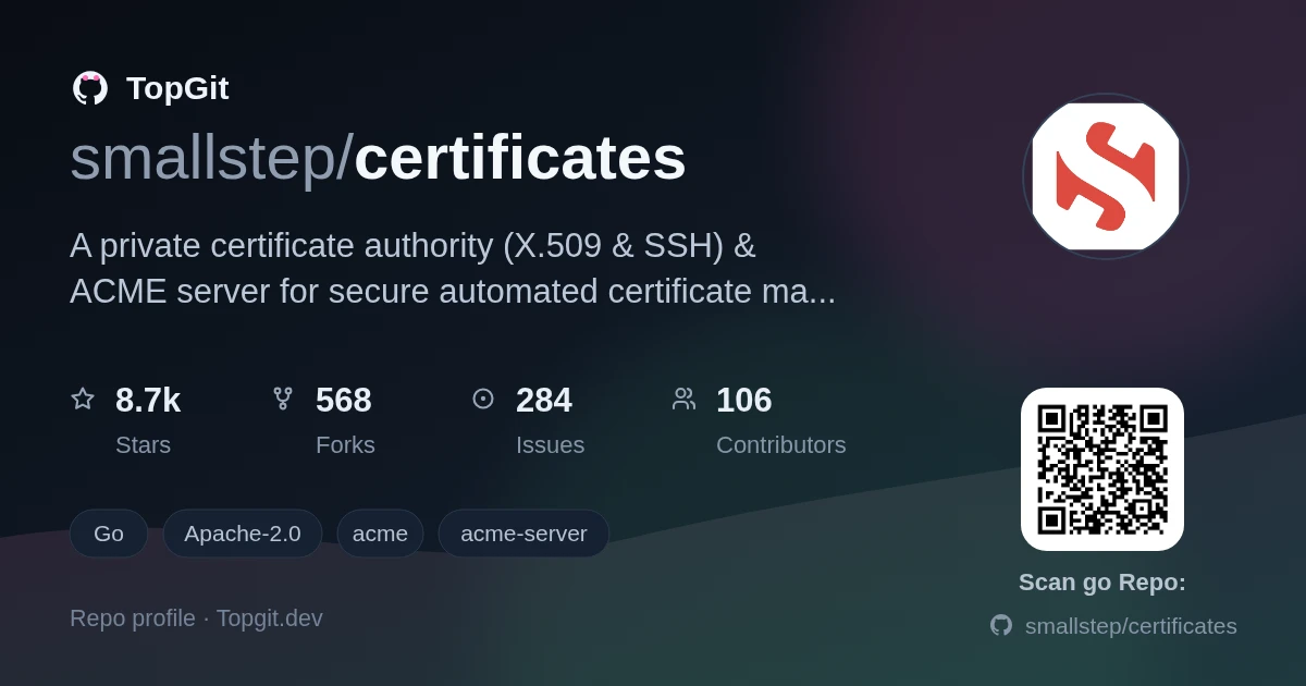 TopGit repo profile image for smallstep/certificates