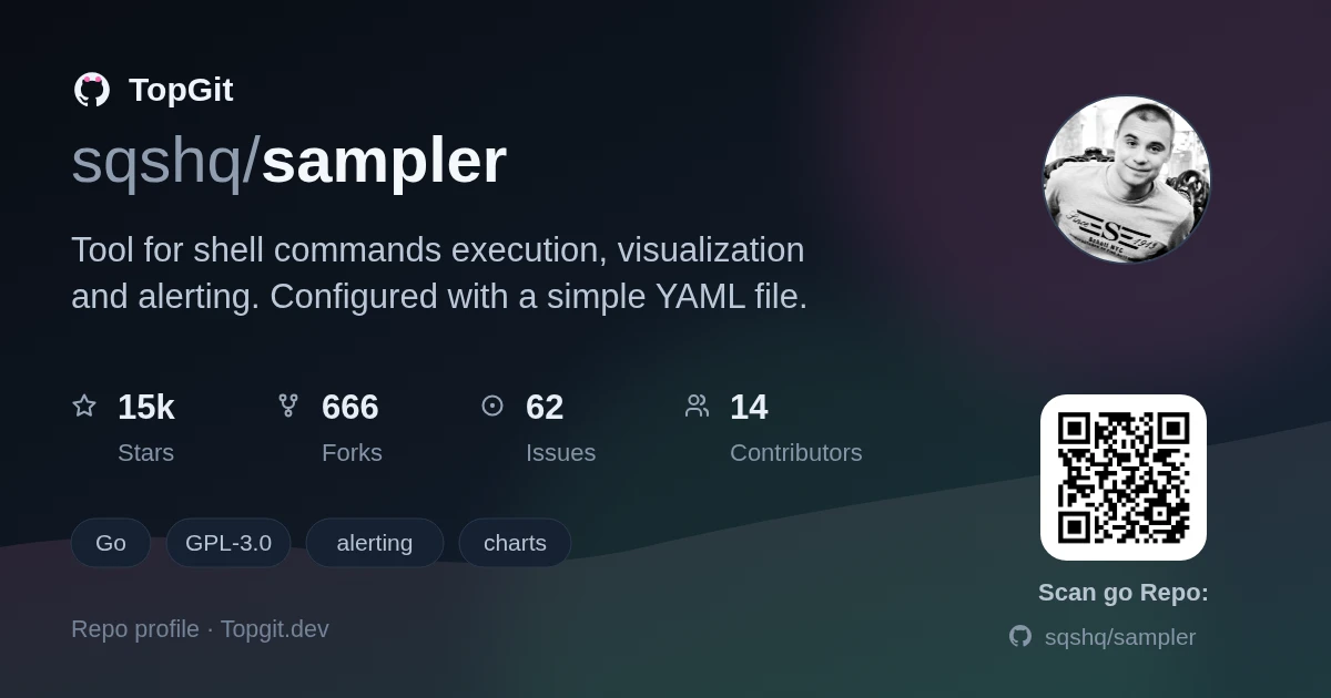 TopGit repo profile image for sqshq/sampler