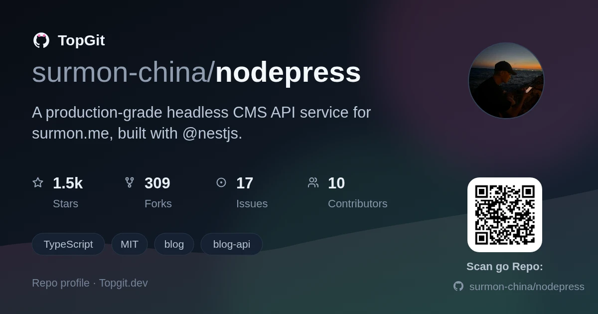 TopGit repo profile image for surmon-china/nodepress