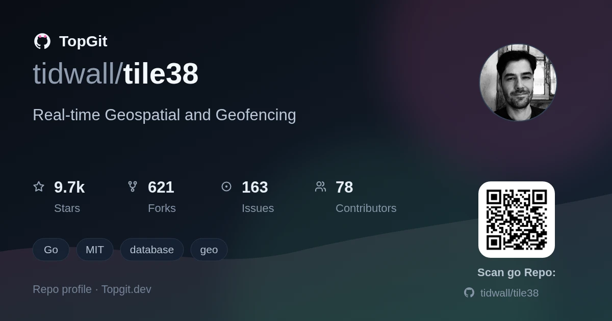 TopGit repo profile image for tidwall/tile38