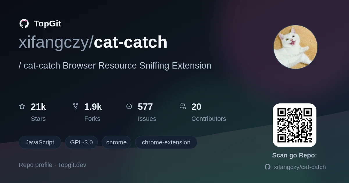 TopGit repo profile image for xifangczy/cat-catch