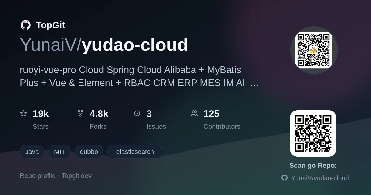 TopGit repo profile image for YunaiV/yudao-cloud