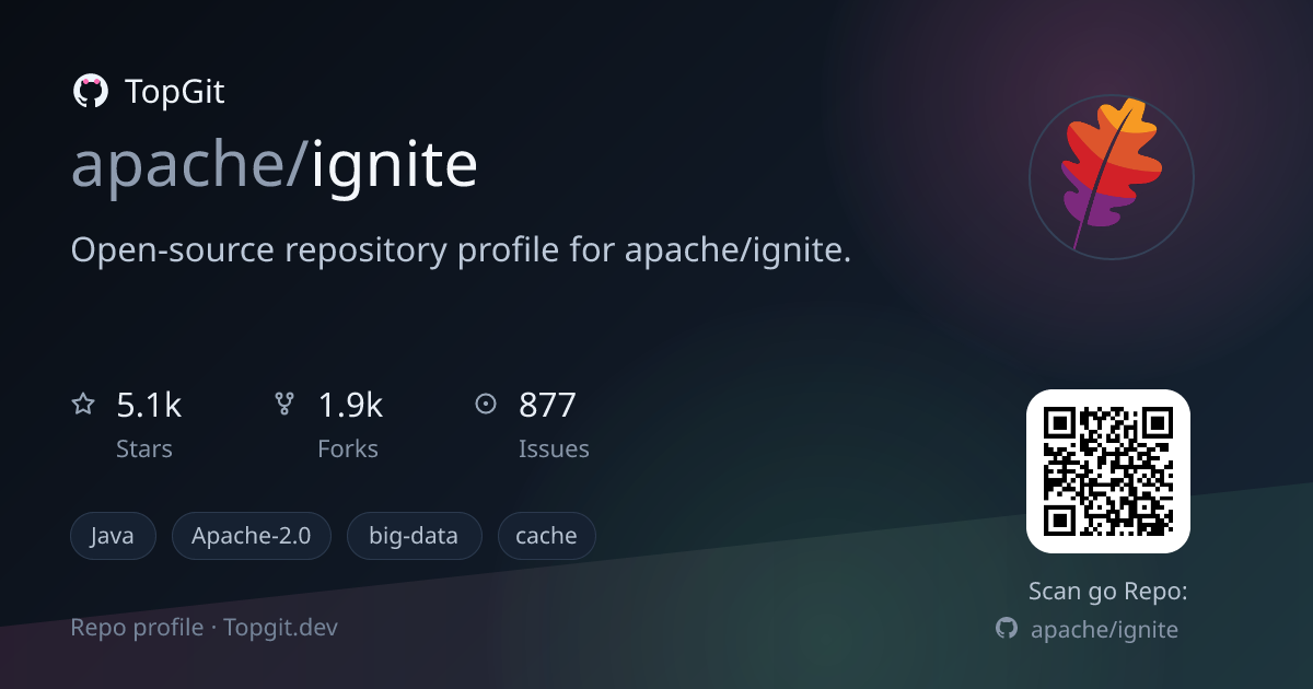TopGit repo profile image for apache/ignite