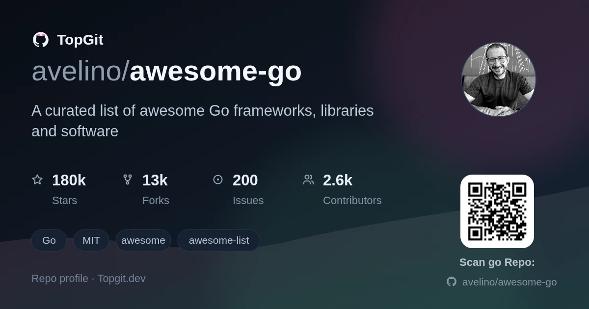 TopGit repo profile image for avelino/awesome-go