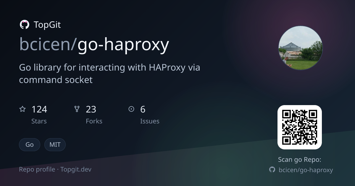 TopGit repo profile image for bcicen/go-haproxy