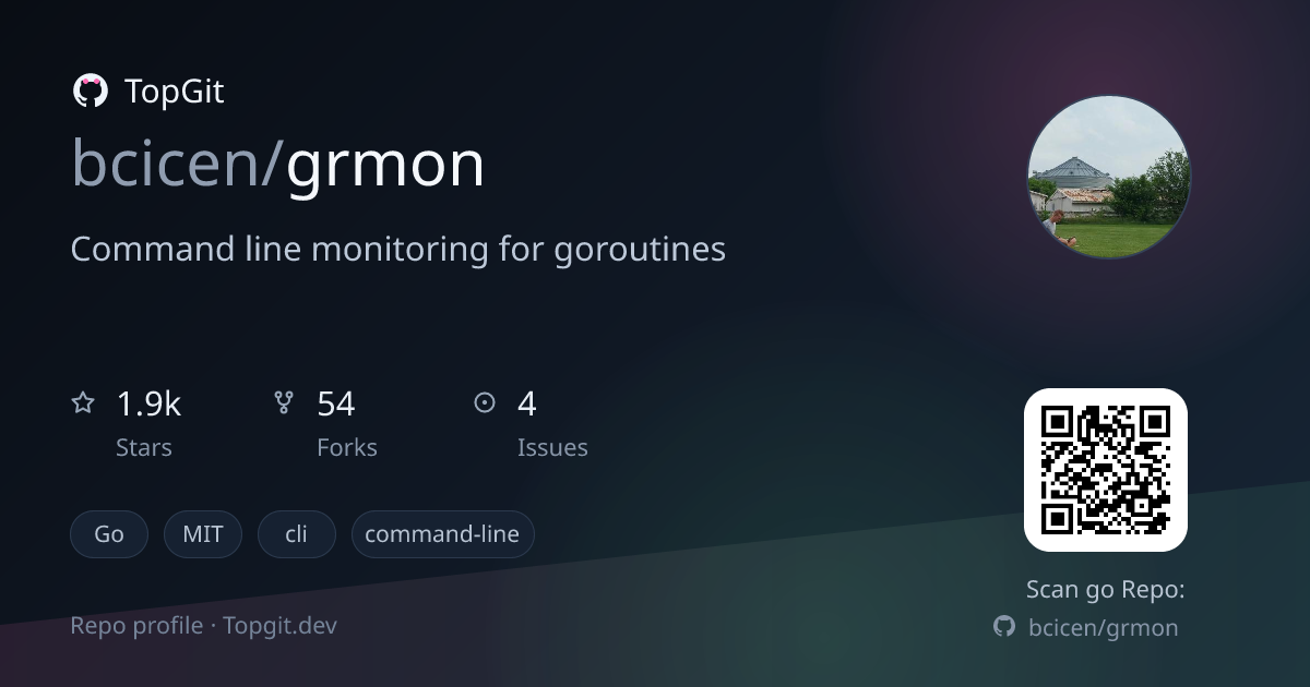 TopGit repo profile image for bcicen/grmon