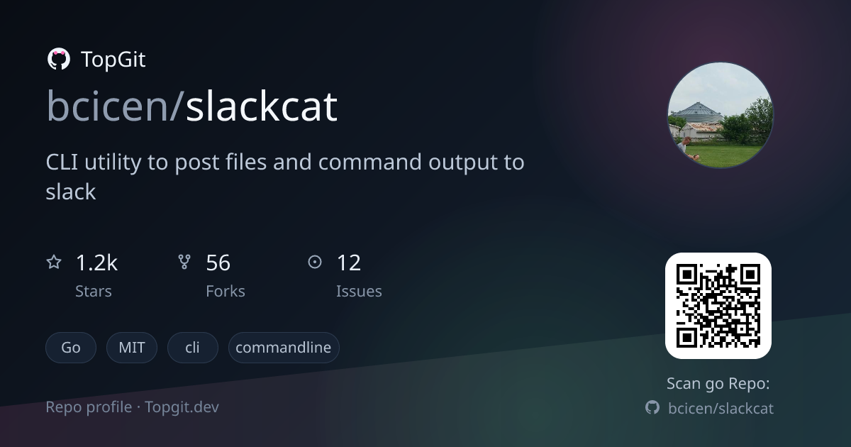 TopGit repo profile image for bcicen/slackcat