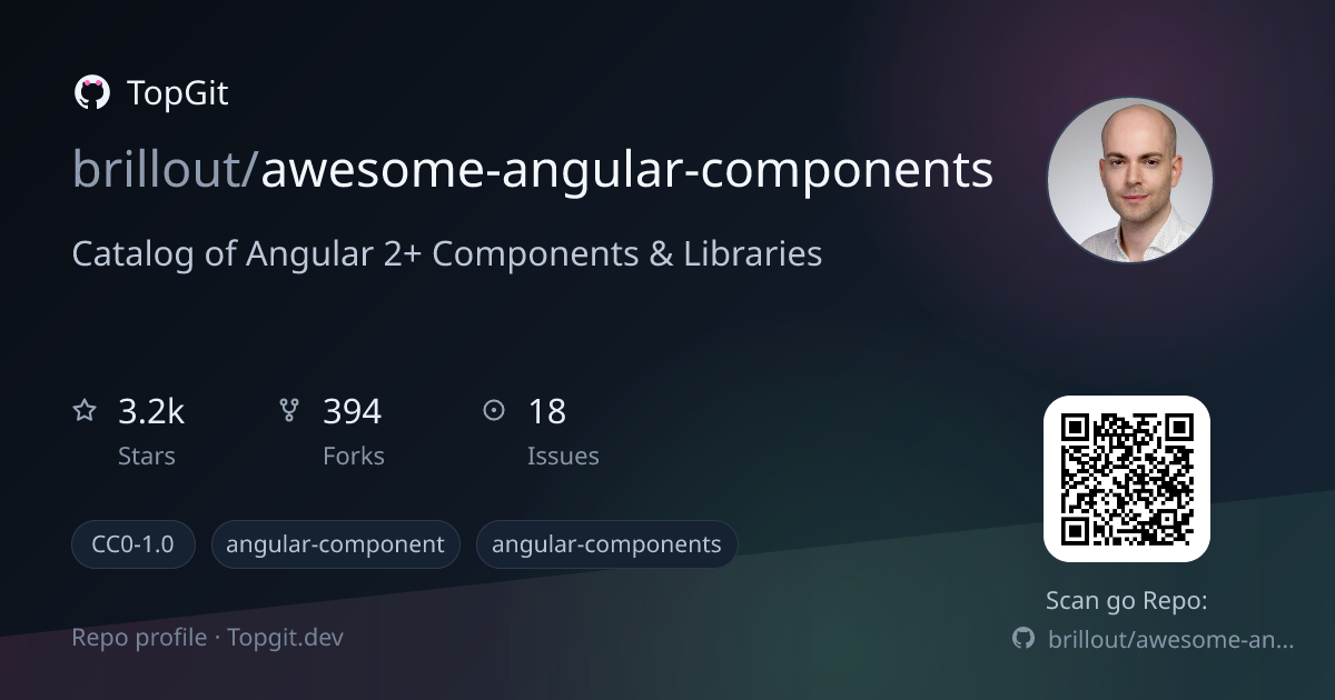 TopGit repo profile image for brillout/awesome-angular-components