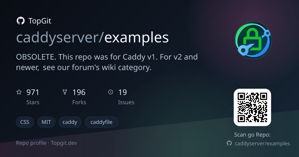 TopGit repo profile image for caddyserver/examples
