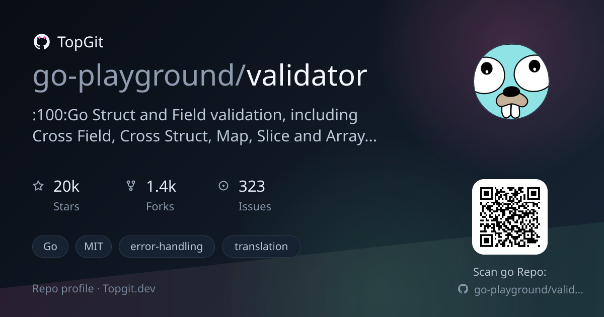 TopGit repo profile image for go-playground/validator