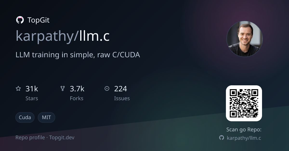 TopGit repo profile image for karpathy/llm.c