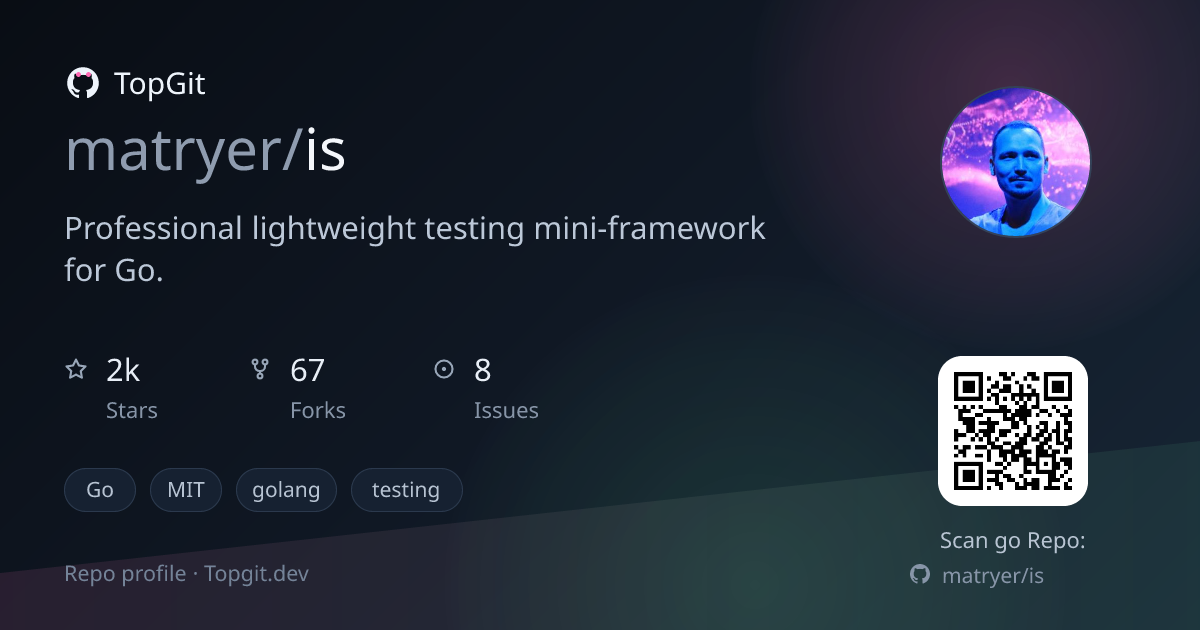 TopGit repo profile image for matryer/is