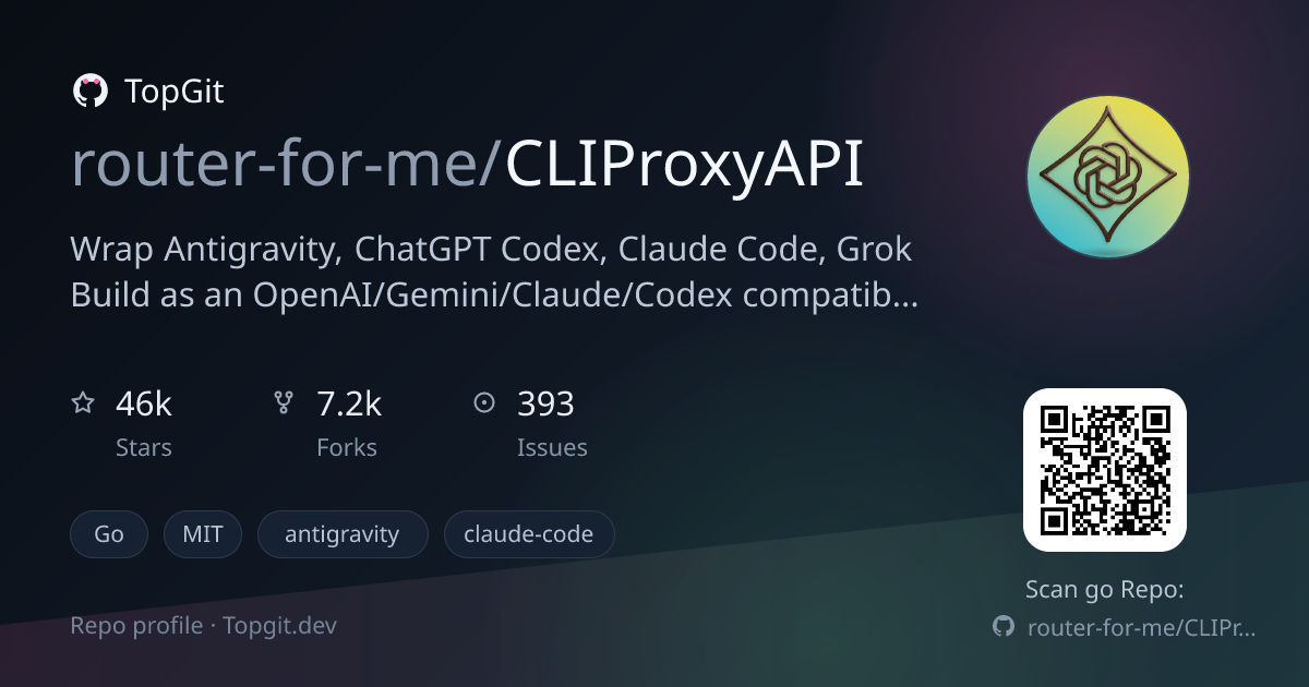 TopGit repo profile image for router-for-me/CLIProxyAPI