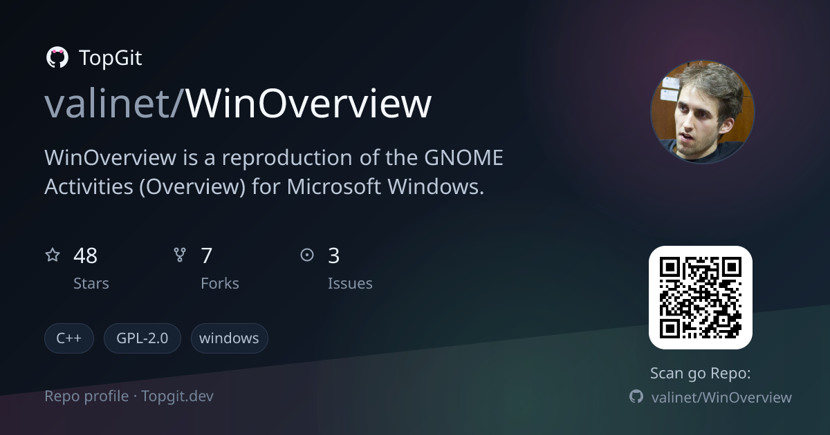 TopGit repo profile image for valinet/WinOverview